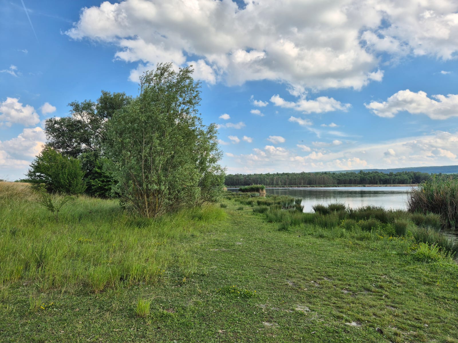 Blick über den Stausee Dachwig
